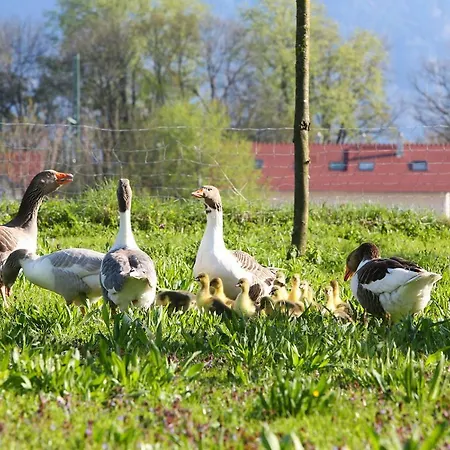 Zaisslhausl Hof Gastezimmer Agroturismo *
